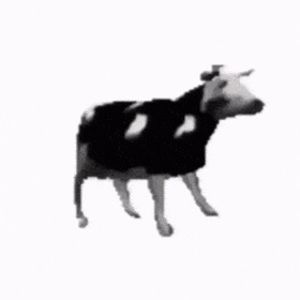 Meet your Posher, Lily